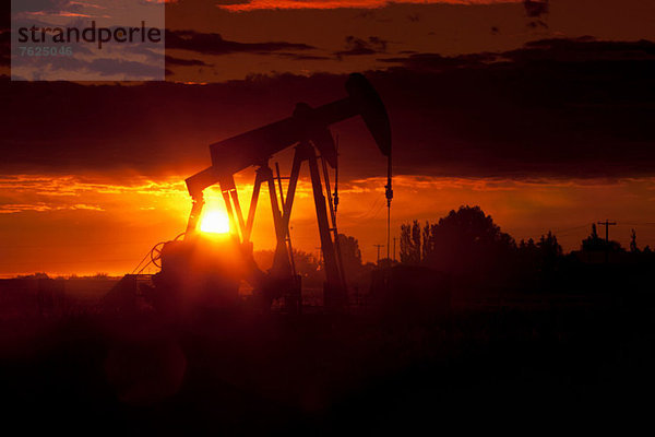 Silhouette der Ölquellen bei Sonnenuntergang