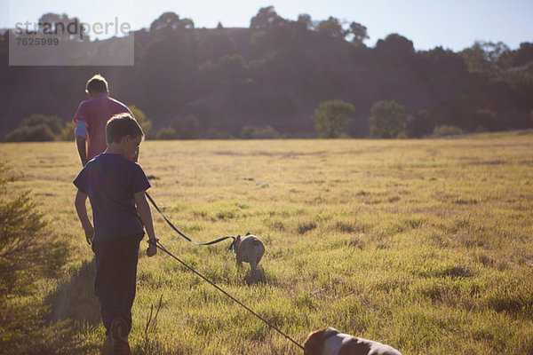 Vater und Sohn spazieren gehende Hunde im Feld