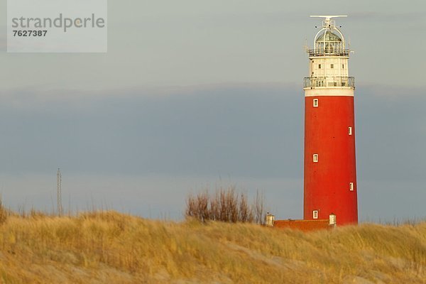 Leuchtturm in Texel  Niederlande