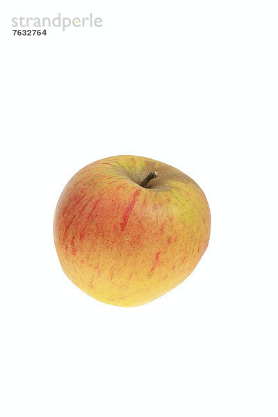 Apfel der Apfelsorte Papelus Rambur