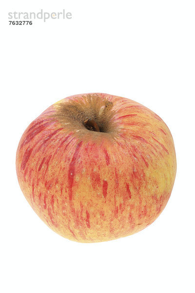 Apfel der Apfelsorte Himbernal