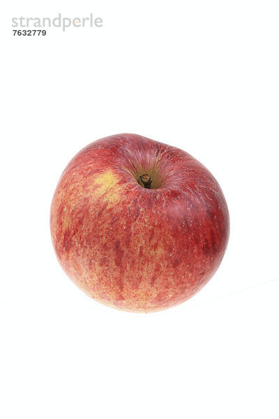 Apfel der Apfelsorte Gestreifter Matapfel