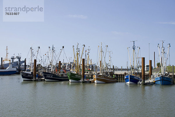 Krabbenkutter  Hafen  Norddeich  Norden  Niedersachsen  Deutschland  Europa