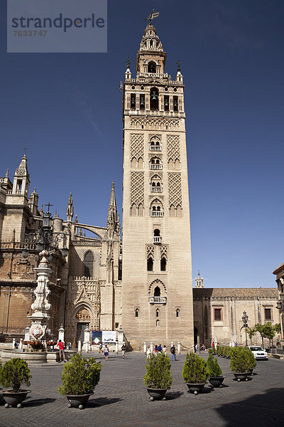 Glockenturm der Kathedrale Santa Maria de la Sede  UNESCO-Weltkulturerbe  Sevilla  Andalusien  Spanien  Europa  ÖffentlicherGrund