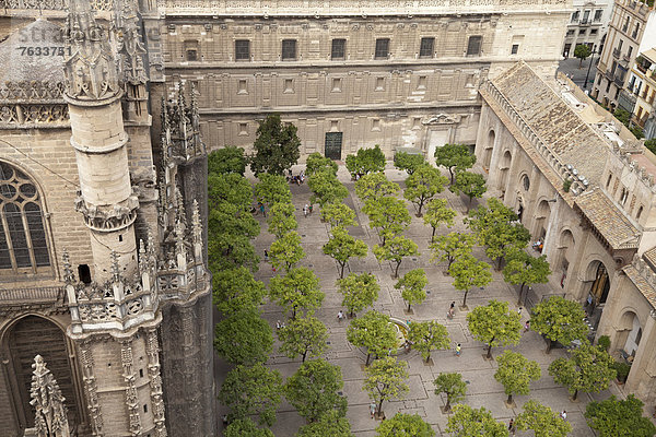 Ausblick vom Glockenturm in den Orangenhof der Kathedrale Santa Maria de la Sede auf die Stadt  Sevilla  Andalusien  Spanien  Europa