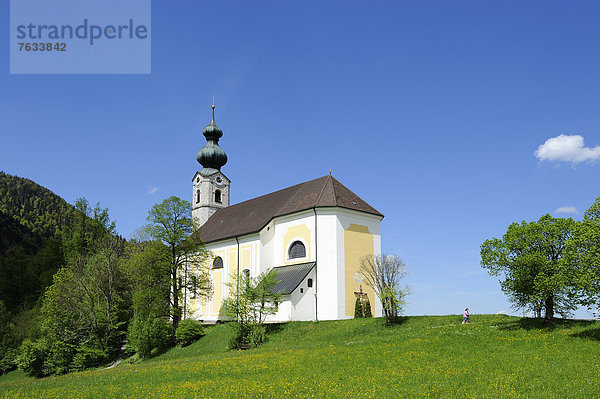 Pfarrkirche St. Georg  Ruhpolding  Chiemgauer Alpen  Chiemgau  Oberbayern  Bayern  Deutschland  Europa  ÖffentlicherGrund
