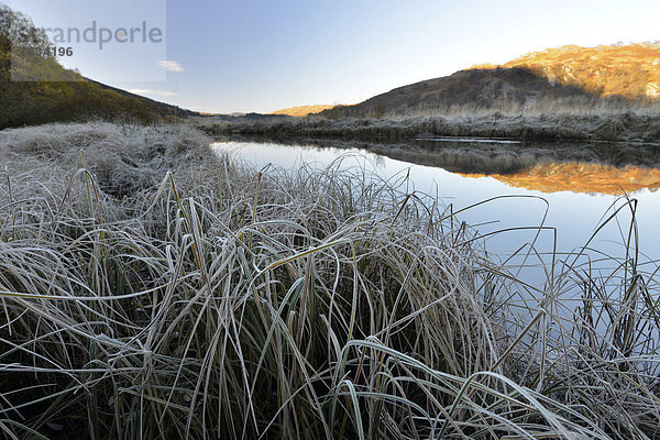 Eisiger Morgenreif  schottische Highlands  Loch Dorchardt  Schottland  Großbritannien  Europa