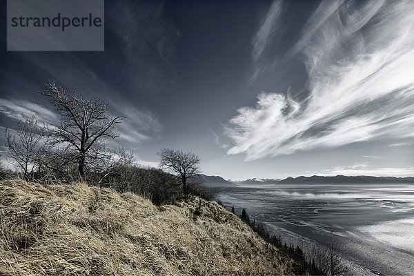 Blick auf den Turnagain-Flußarm  Alaska