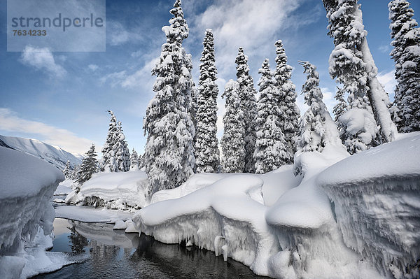 Der Bach Bench Creek im Winter  Alaska