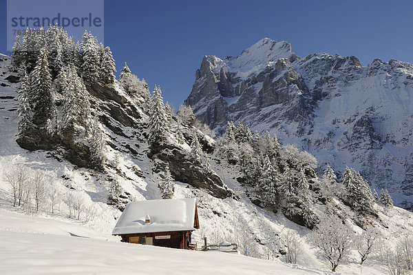 Alpenhütte im Schnee  hinten das Wetterhorn  Schweiz  Europa