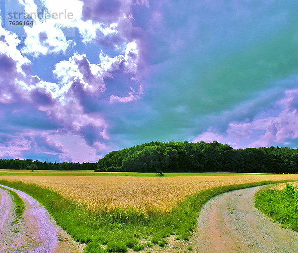 Kornfeld  Wolke  Landwirtschaft  Gabel  Deutschland  Stimmung  Schweiz  Weg