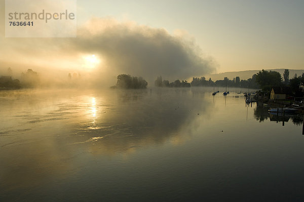 Europa  Rauch  Nebel  Fluss  Insel  Stimmung  Schaffhausen  Stein am Rhein  Schweiz