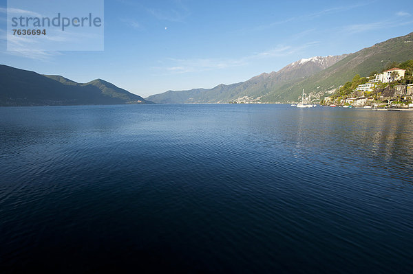 Europa  See  Lago Maggiore  Ascona  Schweiz