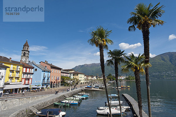 Hafen Europa Wohnhaus Gebäude See Lago Maggiore Ascona Schweiz