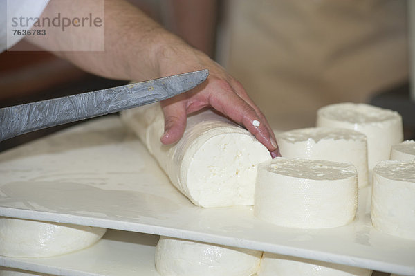 Europa  Lebensmittel  Tradition  Käse  Handwerk  Schweiz