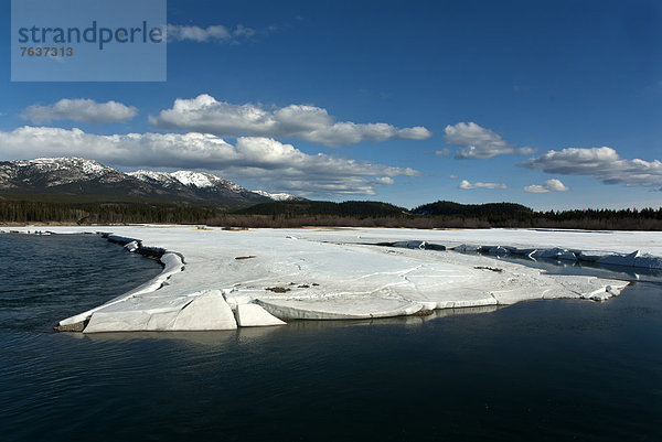 Landschaft  Eis  Fluss  zerbrechen brechen  bricht  brechend  zerbrechend  zerbricht  Kanada  Yukon
