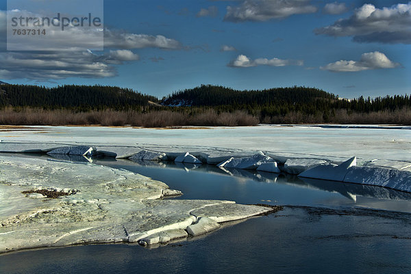 Landschaft  Eis  Fluss  zerbrechen brechen  bricht  brechend  zerbrechend  zerbricht  Kanada  Yukon