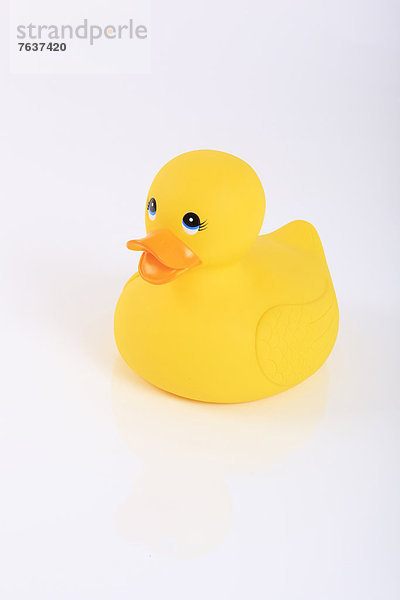 niedlich  süß  lieb  Weißer Hintergrund  baden  planschen  Konzept  Einsamkeit  gelb  Spielzeug  Spiegelung  weiß  1  Studioaufnahme  Baby  Ente  Spaß  Scherz