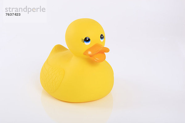 niedlich  süß  lieb  Weißer Hintergrund  baden  planschen  Konzept  Einsamkeit  gelb  Spielzeug  Spiegelung  weiß  1  Studioaufnahme  Baby  Ente  Spaß  Scherz