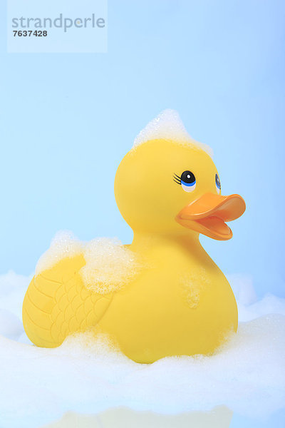 Seifenschaum  Schaum  niedlich  süß  lieb  Wasser  baden  planschen  Konzept  gelb  Spielzeug  Spiegelung  blau  1  Studioaufnahme  Badewanne  Baby  blauer Hintergrund  Ente  Spaß  Scherz