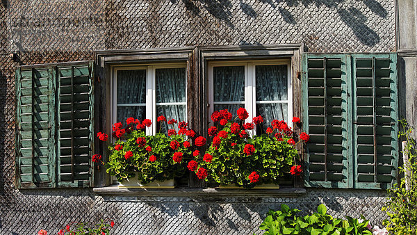 Schnabel Europa Fenster Fassade Hausfassade Fensterladen Emmentaler Storchschnäbel Bern Kanton Bern Schweiz