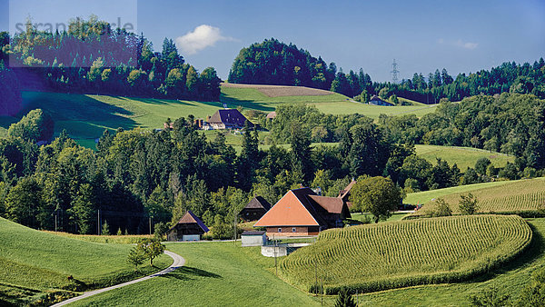 Kornfeld Landschaftlich schön landschaftlich reizvoll Bauernhaus Europa Wohnhaus Landschaft Garten Bauernhof Hof Höfe Wald Holz Feld Emmentaler Kultur vor der Küste Gegenstand Bern Kanton Bern Gericht Schweiz