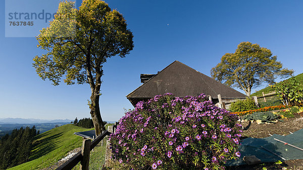 Landschaftlich schön landschaftlich reizvoll Europa Baum Landwirtschaft Garten Chalet Zaun Emmentaler Bern Kanton Bern Composite Schweiz