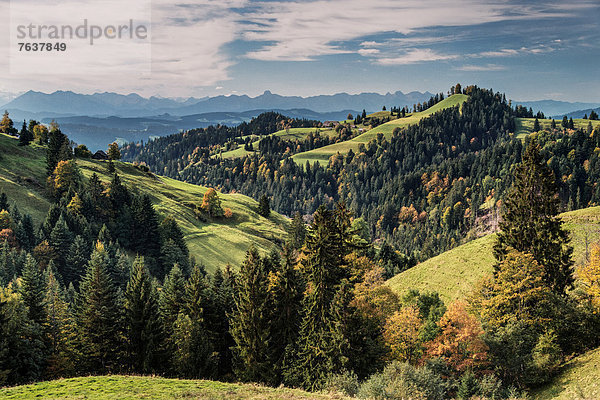 Landschaftlich schön landschaftlich reizvoll Europa Wald Holz Alpen Zusammenstoß Wiese Emmentaler Bern Kanton Bern Schweiz