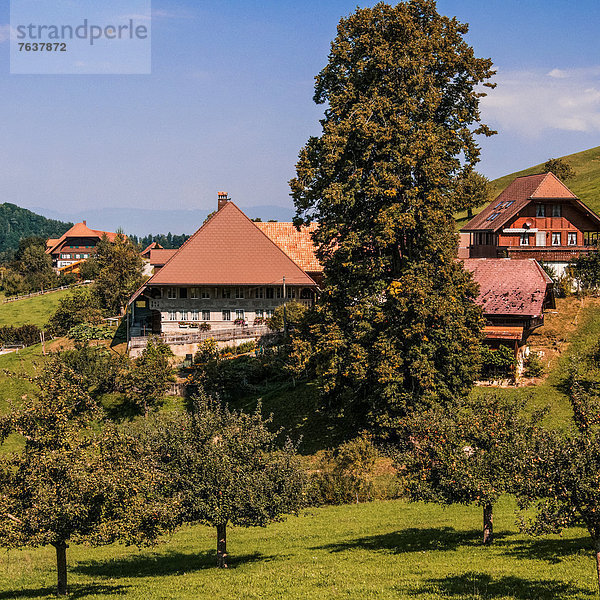 Landschaftlich schön landschaftlich reizvoll Bauernhaus Europa Wohnhaus Garten Bauernhof Hof Höfe Emmentaler Bern Kanton Bern Gericht Weiler Hofstatt Schweiz