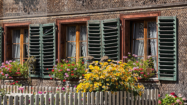 Europa Fenster Blume Dekoration Emmentaler Storchschnäbel Bern Kanton Bern Schweiz