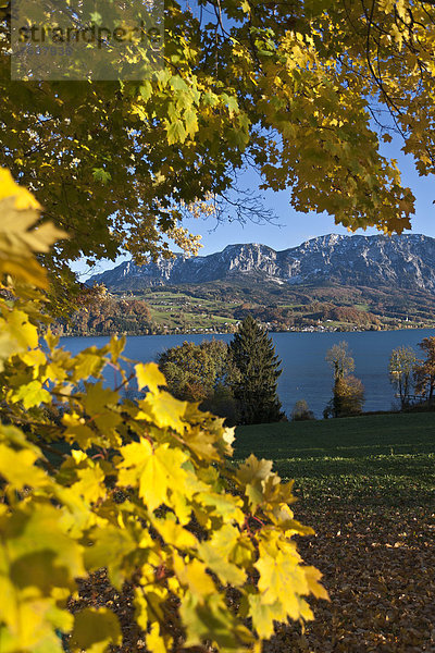 Europa See Herbst Österreich Stimmung Oberösterreich