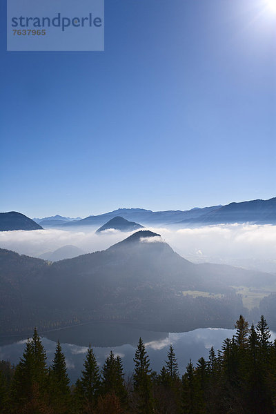 Berg Wald Holz Österreich Grimming Nebelmeer