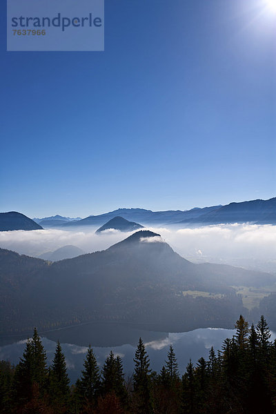 Berg Wald Holz Österreich Grimming Nebelmeer