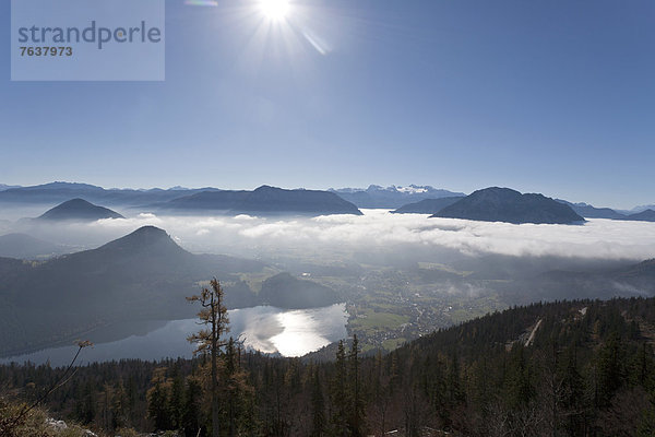 Berg Wolke Landschaft Wald Holz Österreich Nebelmeer