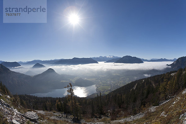 Berg Wolke Landschaft Wald Holz Österreich Nebelmeer