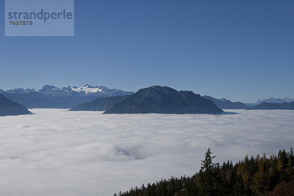 Berg Wolke Landschaft Wald Holz Österreich Nebelmeer