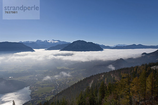 Berg Wolke Landschaft Wald Holz Österreich Nebelmeer