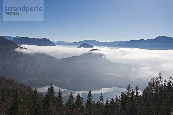 Berg Wolke Landschaft Wald Holz Österreich Nebelmeer
