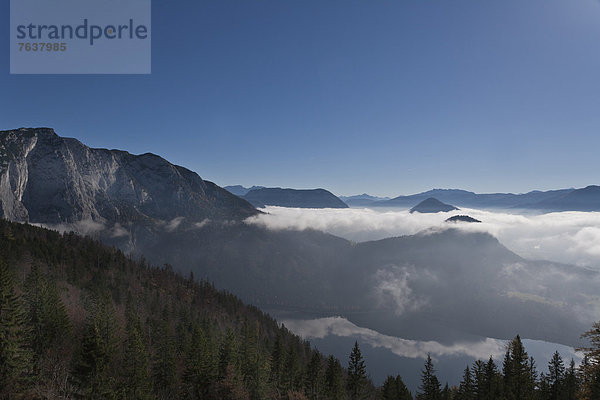 Berg Wolke Landschaft Wald Holz Österreich Nebelmeer