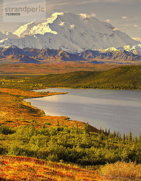 Vereinigte Staaten von Amerika  USA  Nationalpark  Farbaufnahme  Farbe  Außenaufnahme  Landschaftlich schön  landschaftlich reizvoll  Wasser  Berg  Tag  Amerika  Ruhe  Landschaft  niemand  See  Natur  ungestüm  Herbst  Denali Nationalpark  Alaska  freie Natur  Schnee  Tundra