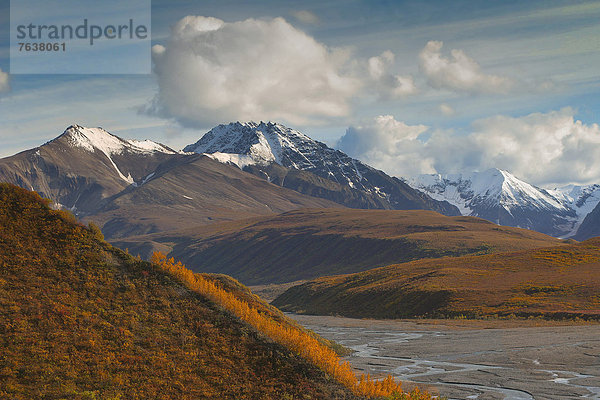 Vereinigte Staaten von Amerika  USA  Nationalpark  Farbaufnahme  Farbe  Außenaufnahme  Landschaftlich schön  landschaftlich reizvoll  Berg  Tag  Amerika  Wolke  Landschaft  niemand  Natur  ungestüm  Herbst  Denali Nationalpark  Alaska  freie Natur  Tundra