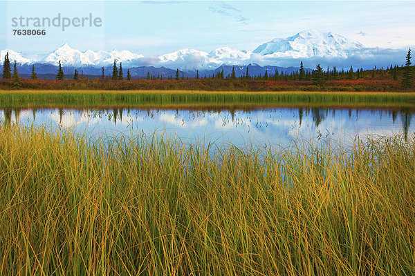 Vereinigte Staaten von Amerika  USA  Nationalpark  Farbaufnahme  Farbe  Außenaufnahme  Landschaftlich schön  landschaftlich reizvoll  Wasser  Berg  Tag  Amerika  Landschaft  niemand  See  Natur  ungestüm  Herbst  Gras  Denali Nationalpark  Alaska  freie Natur  Tundra