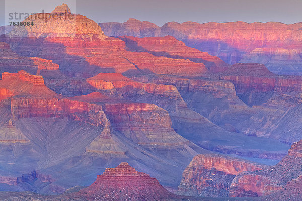 Vereinigte Staaten von Amerika  USA  Erhöhte Ansicht  Aufsicht  Nationalpark  Außenaufnahme  Landschaftlich schön  landschaftlich reizvoll  Amerika  Sonnenuntergang  Beleuchtung  Licht  Landschaft  Steilküste  Sonnenaufgang  niemand  Wüste  Natur  ungestüm  Arizona  Ansicht  Grand Canyon  Schlucht  UNESCO-Welterbe  freie Natur  South Rim