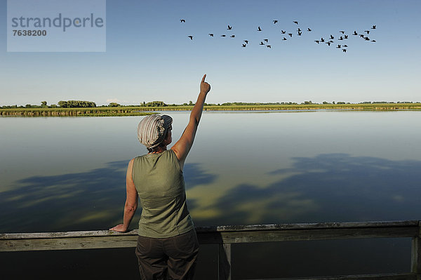 Nationalpark  Außenaufnahme  Wasser  Frau  Tag  Schatten  Teich  Reise  Natur  Vogel  Vogelbeobachtung  Sumpf  Pelee  Ontario  Kanada  Leamington  Ontario  freie Natur