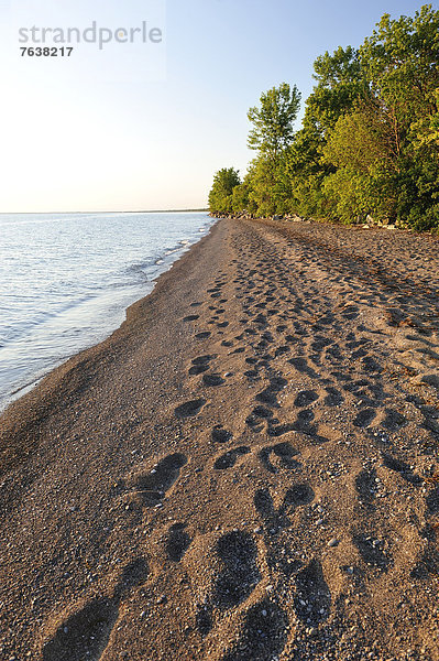Wasserrand  Nationalpark  Hochformat  Tag  Botanik  Strand  Landschaft  Reise  See  Natur  Sand  Fußabdruck  Pelee  Ontario  Kanada  Leamington  Ontario