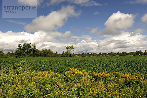 Wolke  Landwirtschaft  Feld  Kanada  Ontario