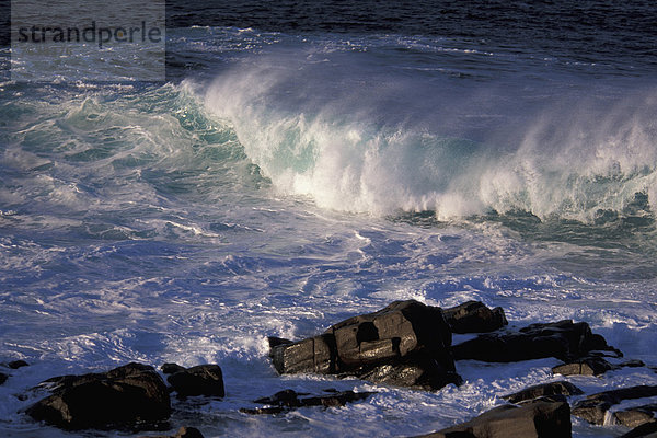 Felsbrocken  Wasser  Felsen  Ozean  Wasserwelle  Welle  Meer  blau  Neufundland  Kanada  Cape Spear
