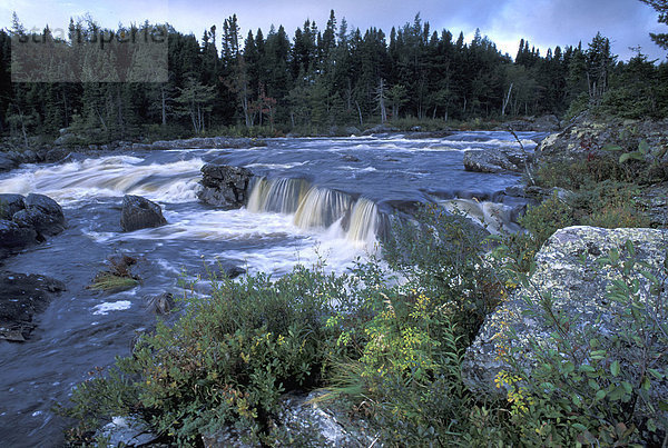 Nationalpark  Felsbrocken  Wasser  Hektik  Druck  hektisch  grün  Fluss  Wildwasser  Strömung  Bach  Wasserfall  Neufundland  Kanada