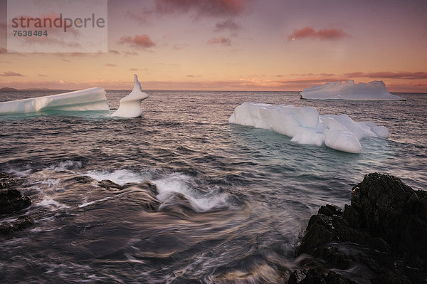 Eisberg  Sonnenuntergang  fließen  Eis  Natur  Neufundland  Twillingate  Kanada
