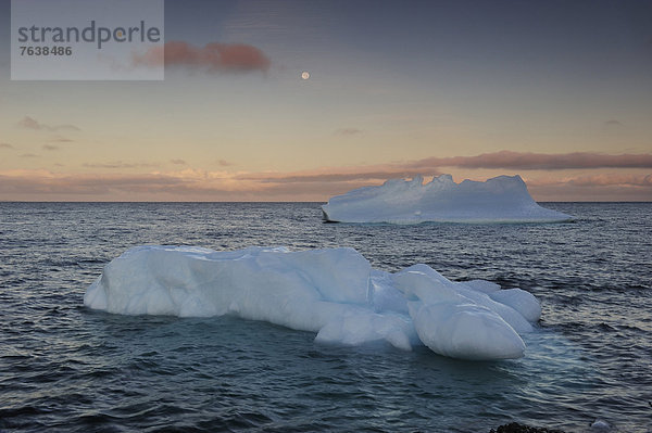 Eisberg  Sonnenuntergang  fließen  Eis  Natur  Neufundland  Twillingate  Kanada